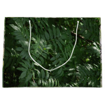 Green In Yellowstone