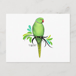 Green Indian Ringneck Parrot Postcard