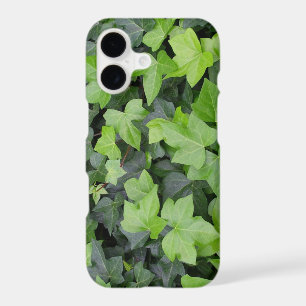Green Ivy Botanical Print