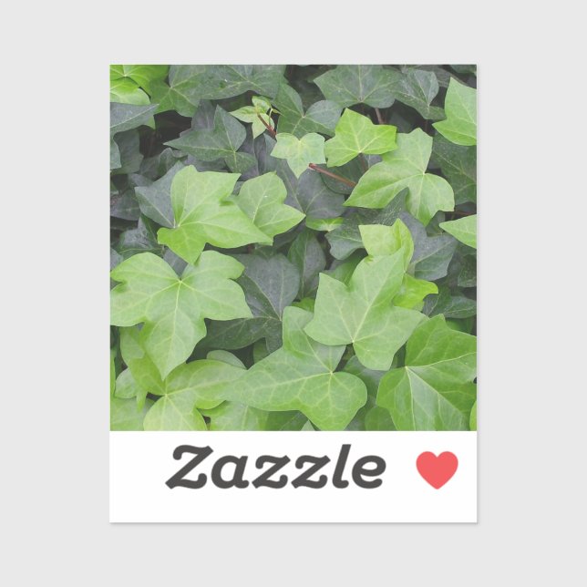 Green Ivy Botanical Print (Sheet)