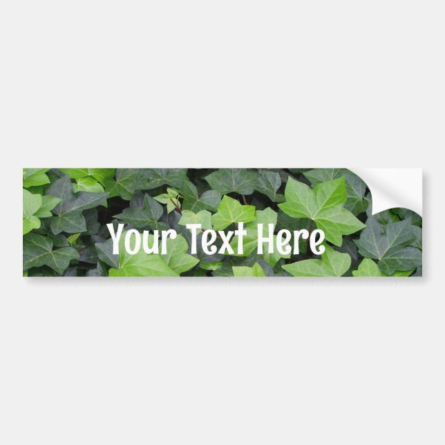 Green Ivy Botanical Print Bumper Sticker (Front)