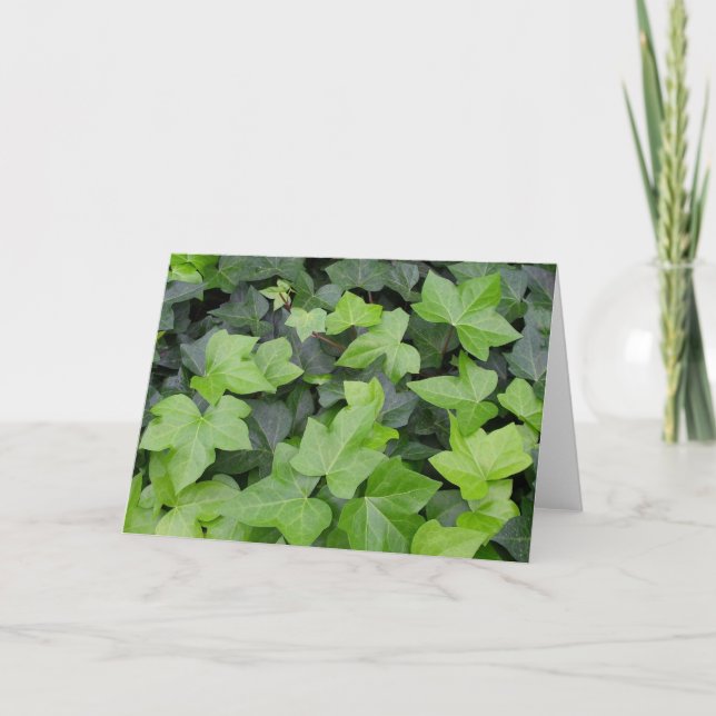 Green Ivy Botanical Print Card (Front)