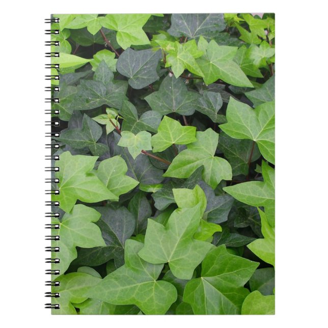Green Ivy Botanical Print Notebook (Front)