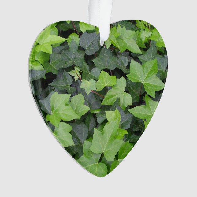 Green Ivy Botanical Print Ornament (Front)