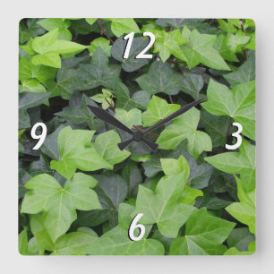 Green Ivy Botanical Print Square Wall Clock