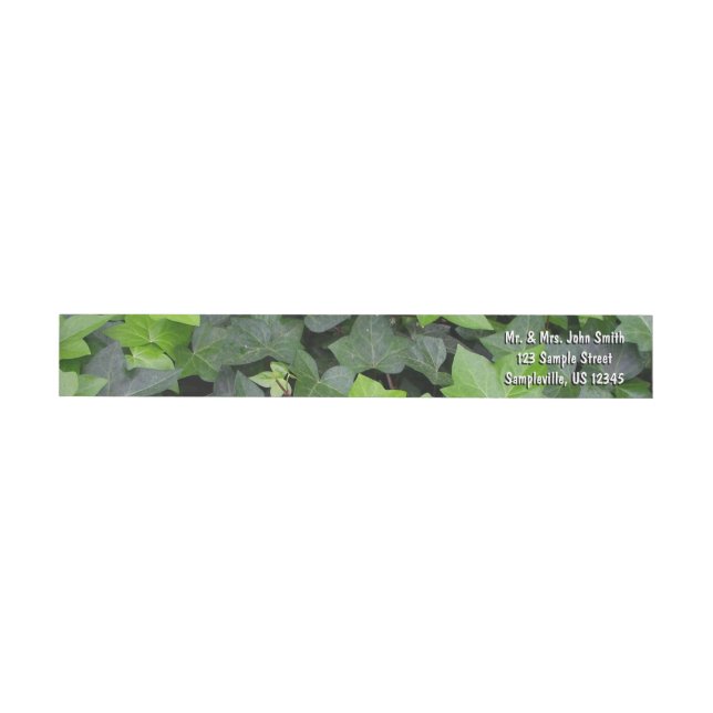 Green Ivy Botanical Print Wrap Around Label (Individual)