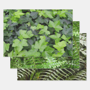 Green Ivy Botanical Print Wrapping Paper Sheet