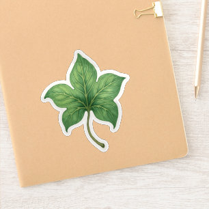 Green Ivy Leaf Botanical