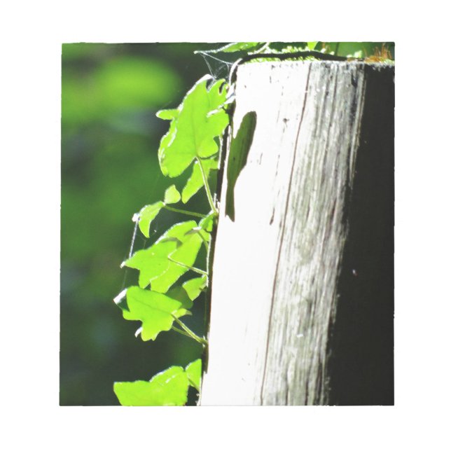Green ivy leaves at a tree trunk notepad (Front)
