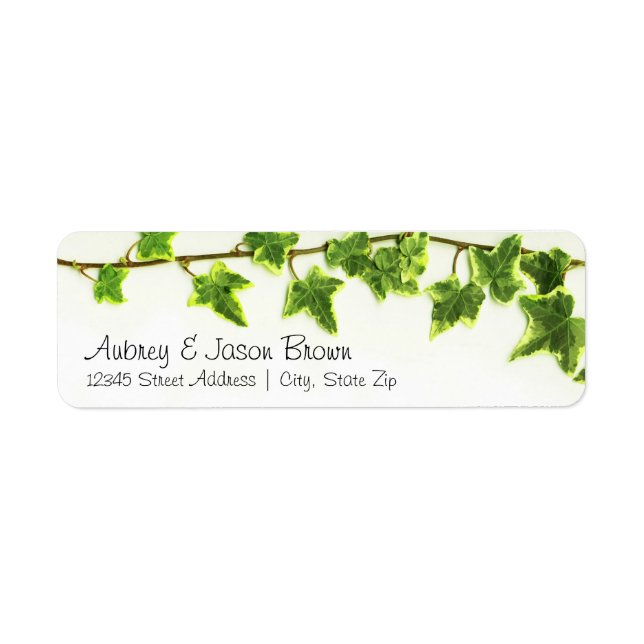 Green Ivy - Return Address Labels (Front)