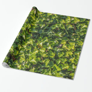 Green Ivy Wrapping Paper