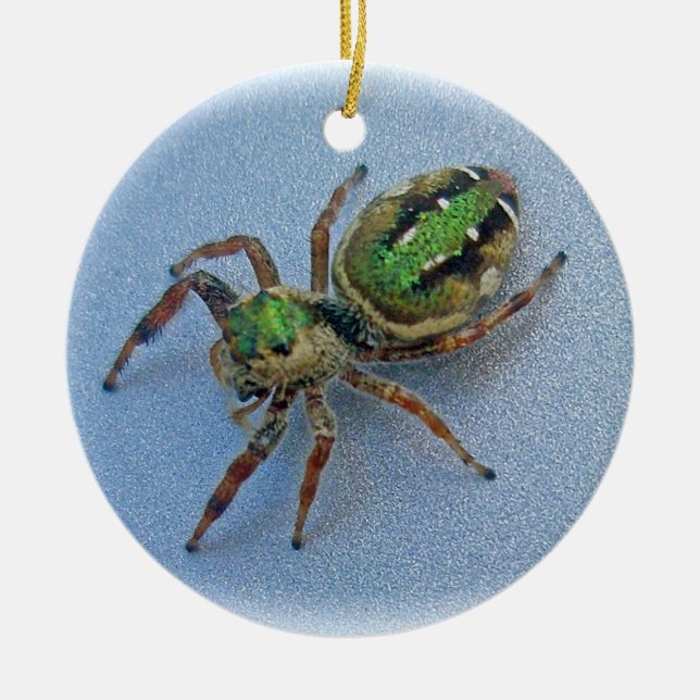 Green Jumping Spider Christmas Ornament (Front)