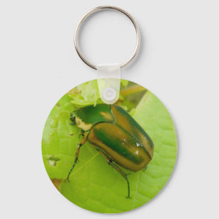 Green June Beetle Keychain