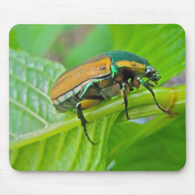 Green June Beetle Mousepad (Front)