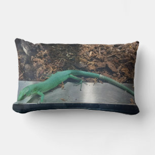 Green Keel Bellied Lizard Pillow