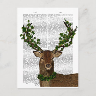 Green King Postcard