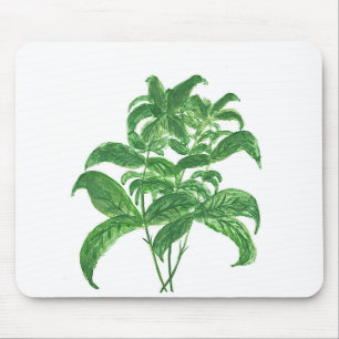 Green kitchen botanical plants herbs Basil Mouse Pad