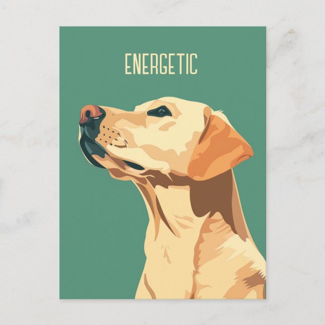 Green Labrador Retriever Postcard (Front)