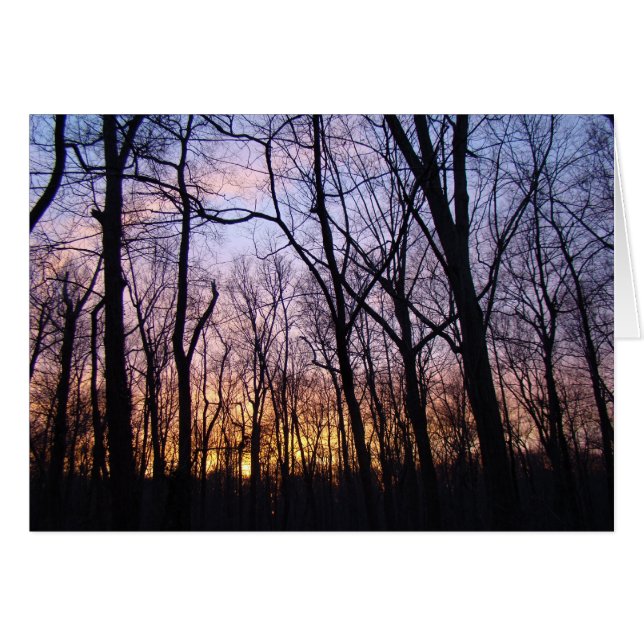 Green Lane PA Woodland Winter Sunset (Front Horizontal)