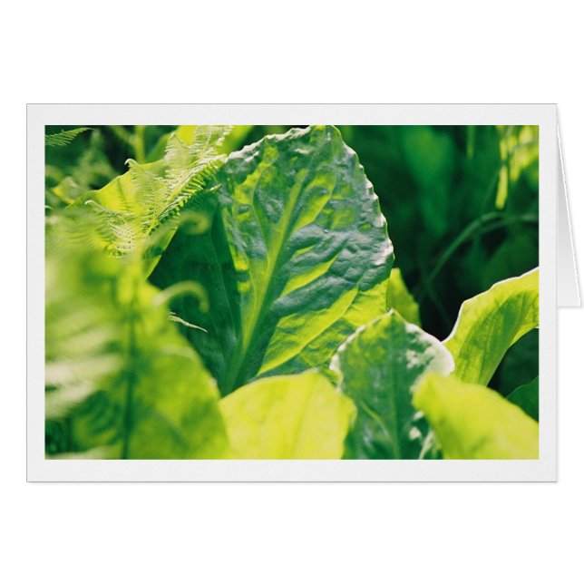 Green Leaf (Front Horizontal)