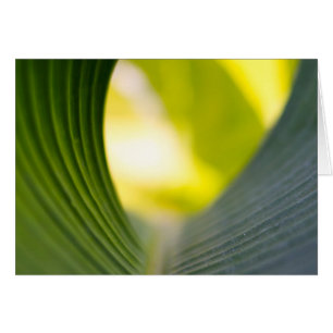 Green leaf