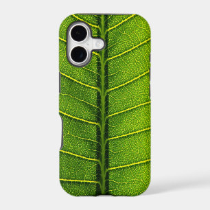 Green leaf