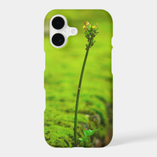 Green Leaf and Bud