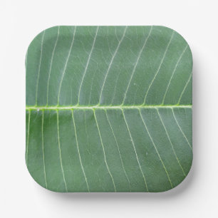 Green Leaf and Light White Line Design 7" Square Paper Plate