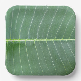 Green Leaf and Light White Line Design 9" Square Paper Plate