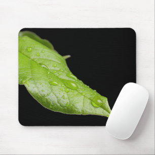 Green Leaf and Raindrops Mousepad
