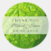Green Leaf and Water Droplets Thank You Sticker