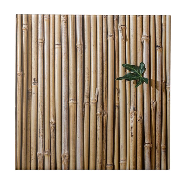 Green Leaf Bamboo Abstract Pattern Ceramic Tile (Front)