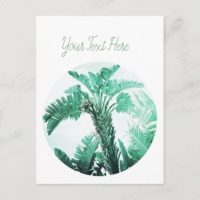 Green leaf banana plant postcard (Front)