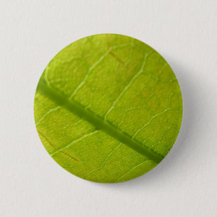 Green Leaf Botanical Nature Photography 6 Cm Round Badge