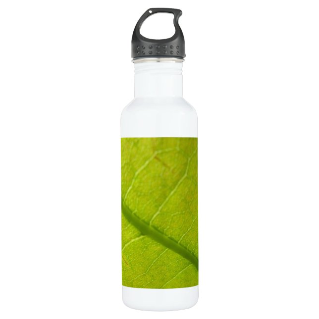 Green Leaf Botanical Nature Photography 710 Ml Water Bottle (Front)