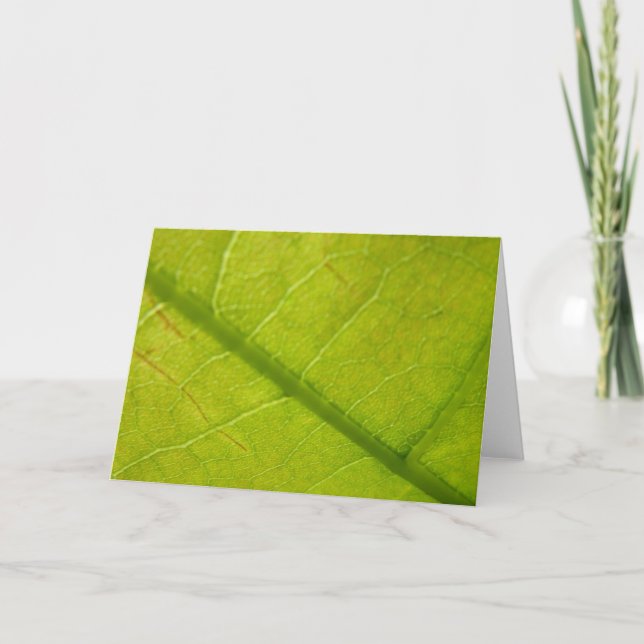 Green Leaf Botanical Nature Photography Card (Front)