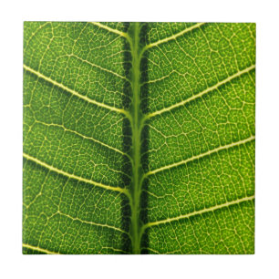 Green leaf ceramic tile
