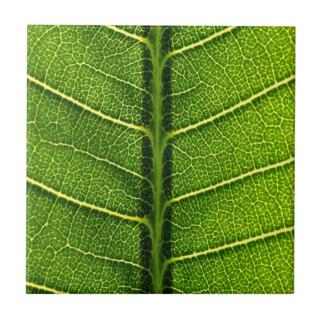 Green leaf ceramic tile (Front)