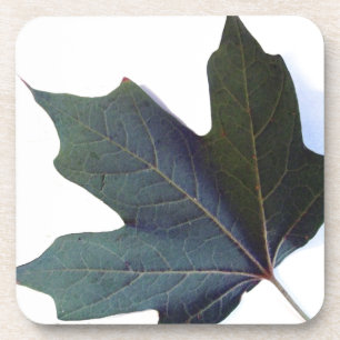 Green Leaf Coaster