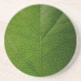 Green Leaf Coaster
