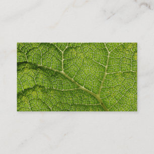 Green Leaf. Digital Art. Business Card