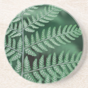 Green Leaf Focused Photo Coaster