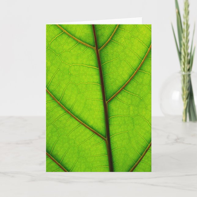 Green Leaf greeting card (Front)