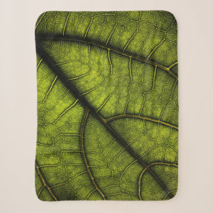 Green leaf in close up photography sherpa blanket