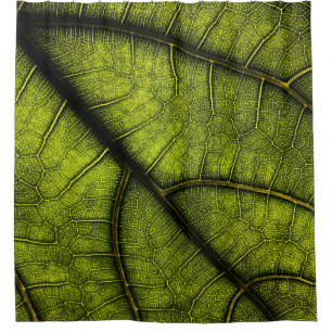Green leaf in close up photography shower curtain