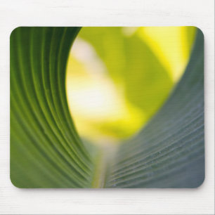 Green leaf mouse pad