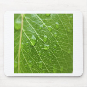 Green Leaf Mouse Pad