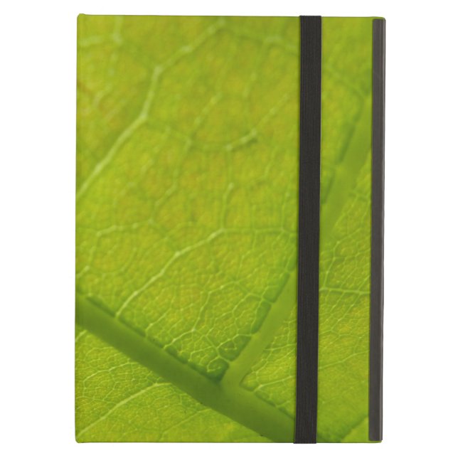 Green Leaf Nature Photography iPad Air Cover (Front Closed)