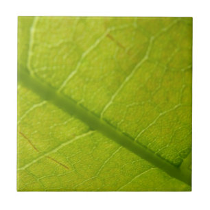 Green Leaf Nature Photography Tile