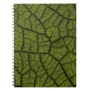 Green leaf notebook